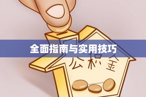 伽师全面指南与实用技巧