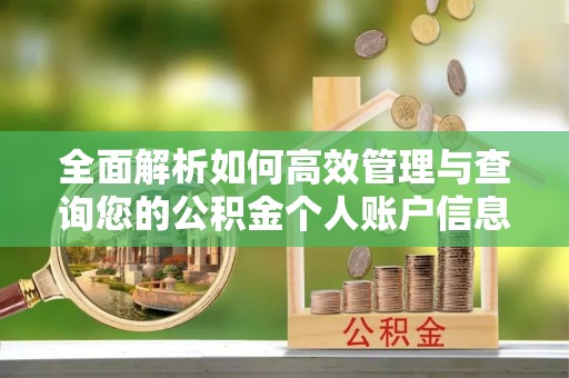 伽师全面解析如何高效管理与查询您的公积金个人账户信息