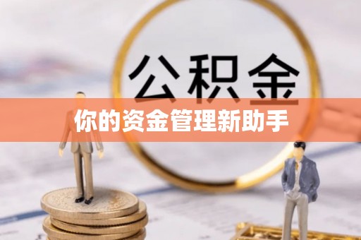 伽师你的资金管理新助手