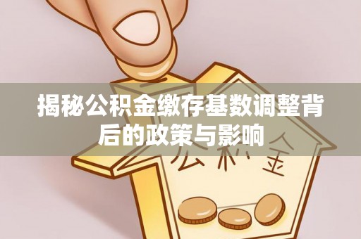 伽师揭秘公积金缴存基数调整背后的政策与影响