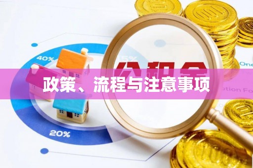 伽师政策、流程与注意事项